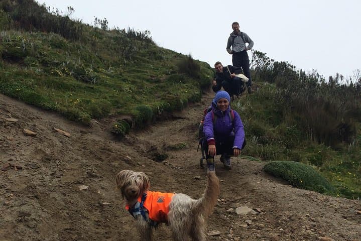Rucu Pichincha Summit Hike from Quito — Teleférico-Assisted Ascent to the Bear's Cave photo 1