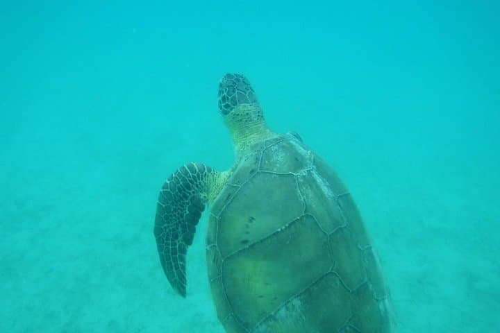 Private Day Sail and Snorkel from Sapphire Beach to St. John National Park photo 5