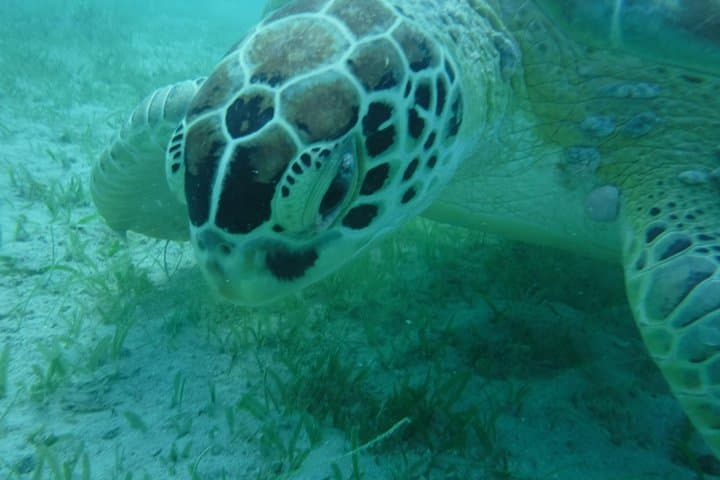 Private Day Sail and Snorkel from Sapphire Beach to St. John National Park