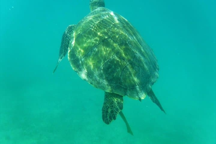 Private Day Sail and Snorkel from Sapphire Beach to St. John National Park photo 6