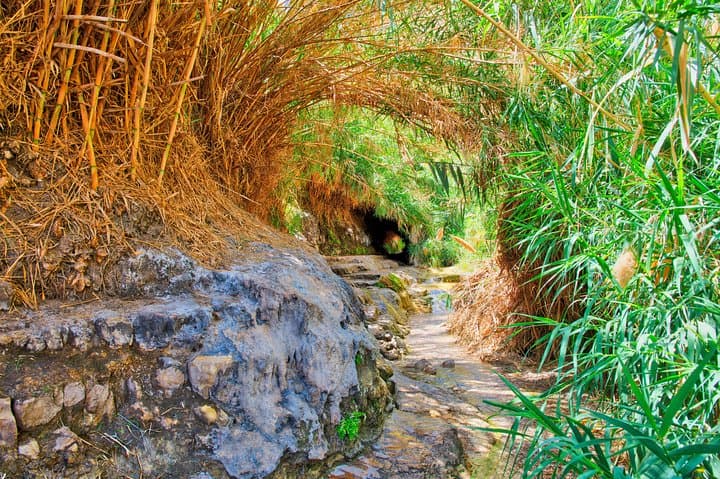 Masada and Ein Gedi Day Trip from Eilat — Dead Sea Spa, Cable Car & Ancient Fortress