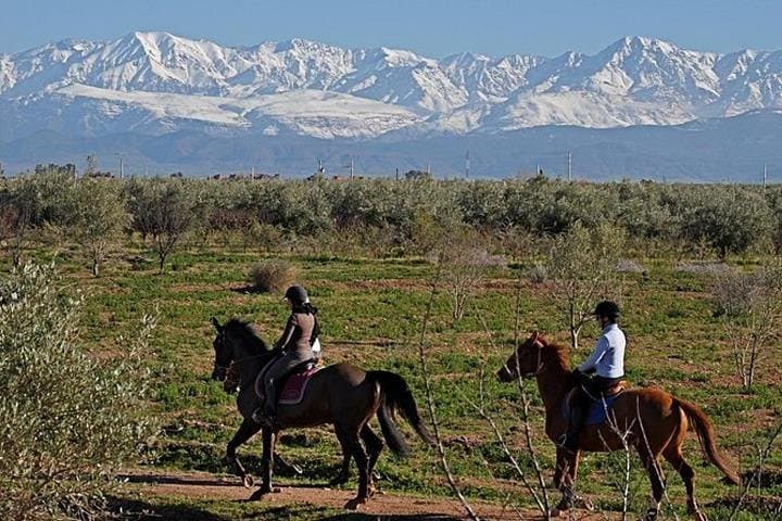 Palmeraie Horseback Ride: Desert Trails & Atlas Views from Marrakech photo 3