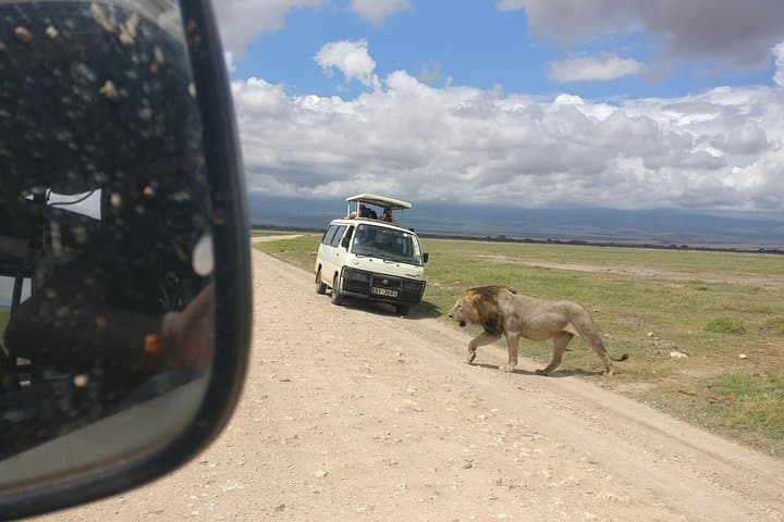 Amboseli Day Trip: See Free-Ranging Elephants and Kilimanjaro Views from Nairobi photo 4
