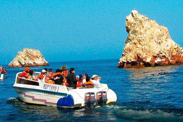 Lima to Ballestas Islands, Nazca Lines & Huacachina Oasis Day Trip photo 1