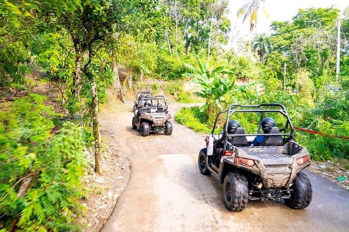 Puerto Plata Triple Adventure: Monkeyland, Damajagua Waterfalls & Off-Road Buggies photo 2