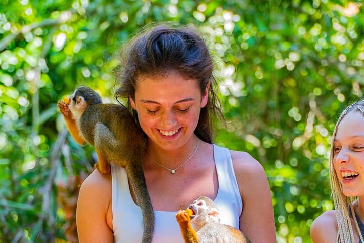 Puerto Plata Triple Adventure: Monkeyland, Damajagua Waterfalls & Off-Road Buggies photo 4