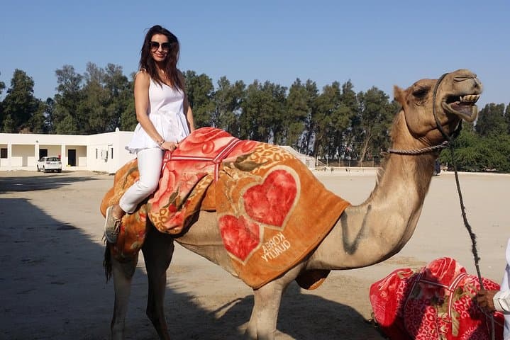 Bahrain Desert Budget Tour: 4-Hour SUV Adventure from Manama