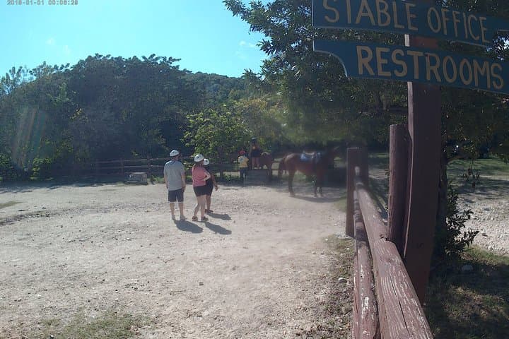Horseback Riding and Ocean Swim in Montego Bay