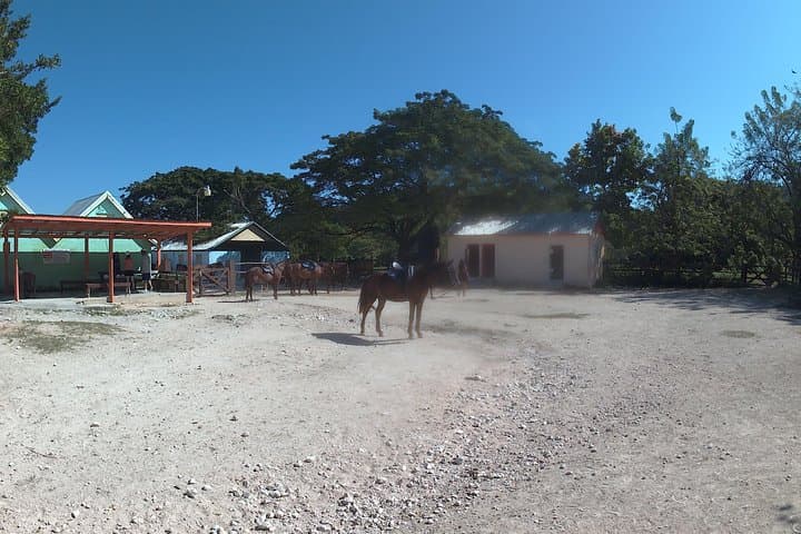 Horseback Riding and Ocean Swim in Montego Bay photo 2
