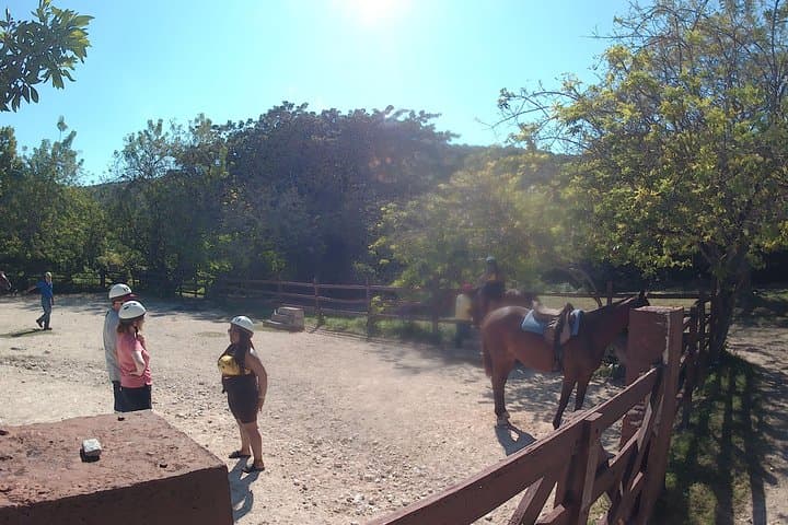 Horseback Riding and Ocean Swim in Montego Bay photo 3