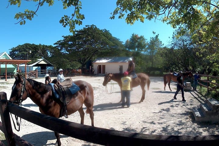 Horseback Riding and Ocean Swim in Montego Bay photo 4