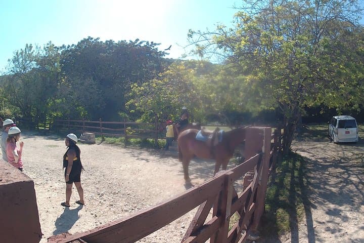 Horseback Riding and Ocean Swim in Montego Bay photo 6