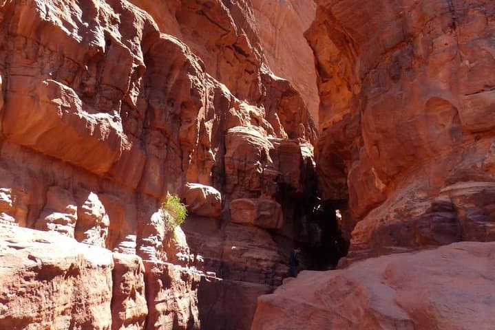 Wadi Rum Camel Trek Adventure: 3-Hour Camel Ride to Khazali Canyon & Red Sand Dune photo 5