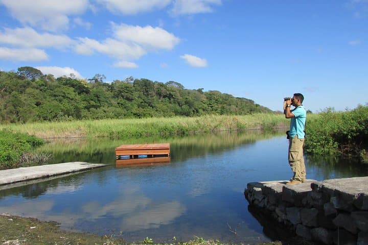 Granada Bird Watching Tour: Cloud-Forest Birds and Volcanic Hot Springs