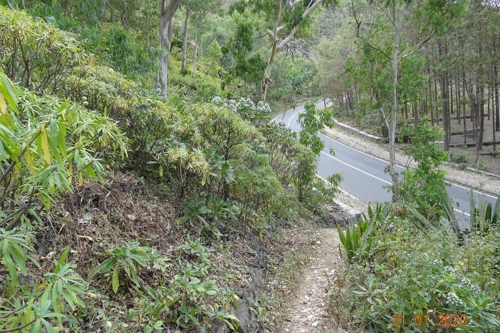 Serra Natural Park Hike — Santiago Coastal Peaks and Goat-Path Trails photo 5