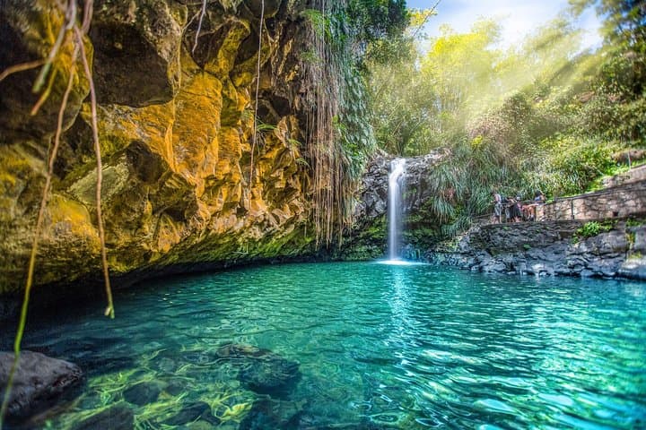 Guide to Waterfall Hikes Around St. George's, Grenada: Swim, Scramble, and Sample Local Fruit photo 6