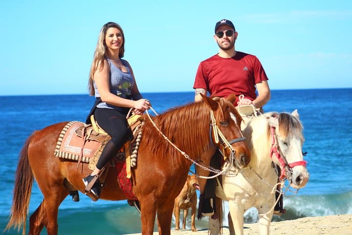 Cabo Desert Off-Road and Beach Horseback Combo with Tequila Tasting