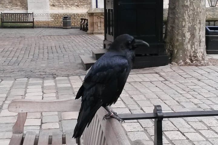 Private Tower of London & Tower Bridge Tour — Skip-the-Line History Walk photo 2