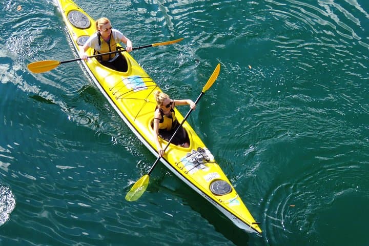 Sydney Harbour Deluxe Double Sea Kayak Rental — 1 Hour Freedom Paddle