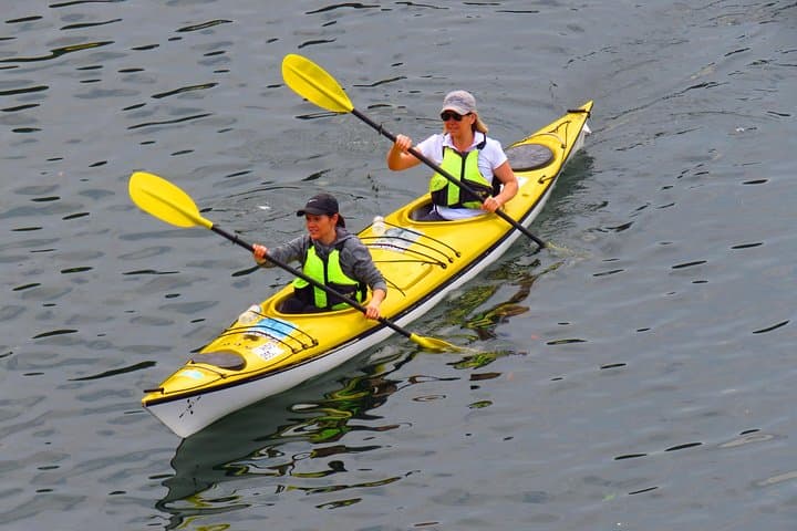 Sydney Harbour Deluxe Double Sea Kayak Rental — 1 Hour Freedom Paddle photo 2