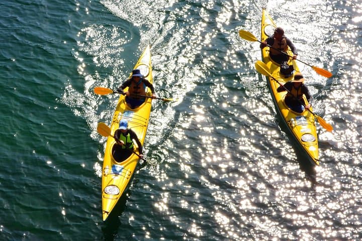Sydney Harbour Deluxe Double Sea Kayak Rental — 1 Hour Freedom Paddle photo 3