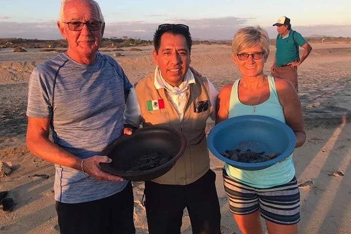 Mazunte Turtle Release Tour — Hatchling Release, Sunset & Coastal Culture photo 4