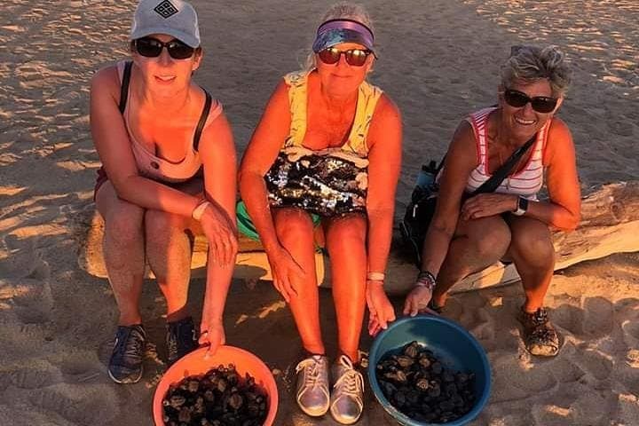 Mazunte Turtle Release Tour — Hatchling Release, Sunset & Coastal Culture photo 3