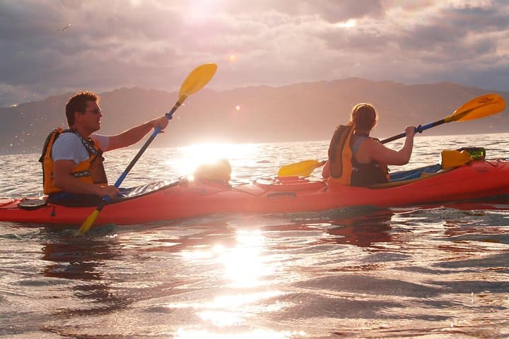 Sunset Kayaking Along Kaikoura Peninsula — Seal‑Guaranteed Evening Paddle photo 5