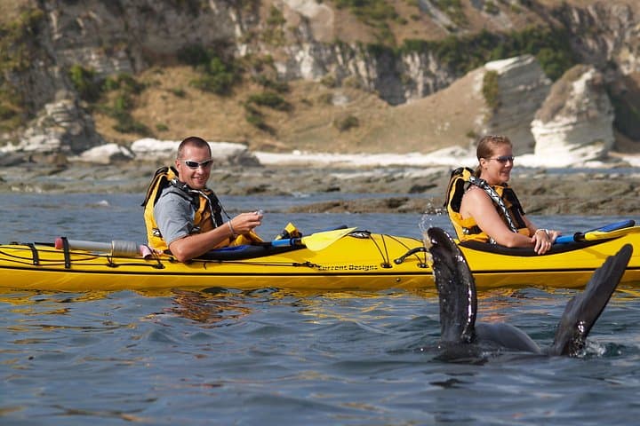 Kaikoura Private Wildlife Kayaking Tour: Seal, Dolphin & Whale Encounters photo 3