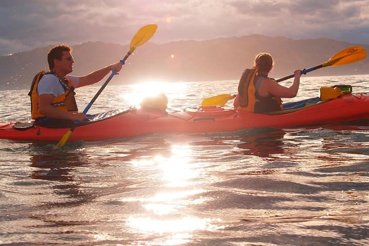 Kaikoura Private Wildlife Kayaking Tour: Seal, Dolphin & Whale Encounters photo 4