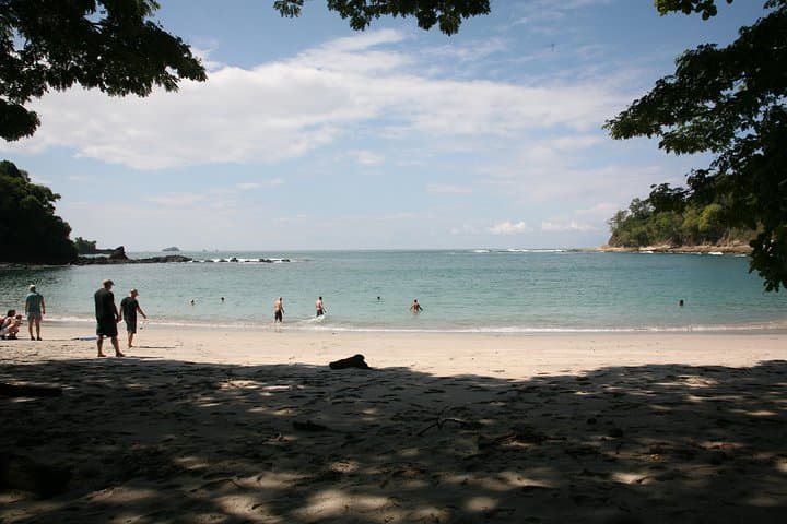 Manuel Antonio National Park Guided Wildlife and Beach Tour photo 2