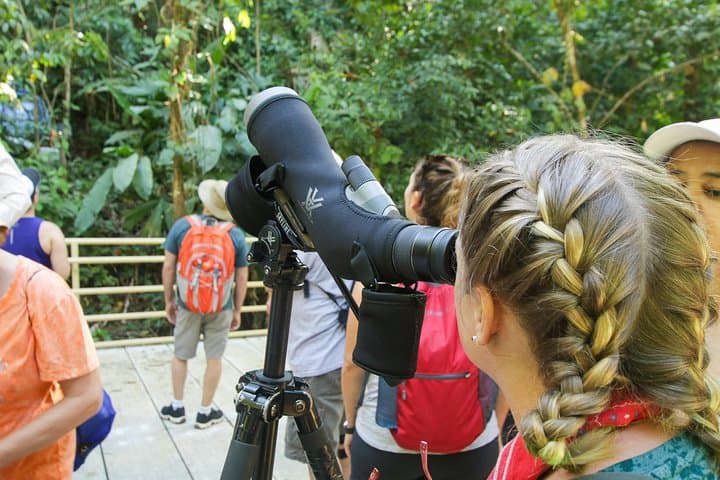 Manuel Antonio National Park Guided Wildlife and Beach Tour photo 3