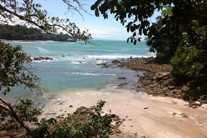 Manuel Antonio National Park Guided Wildlife and Beach Tour photo 4