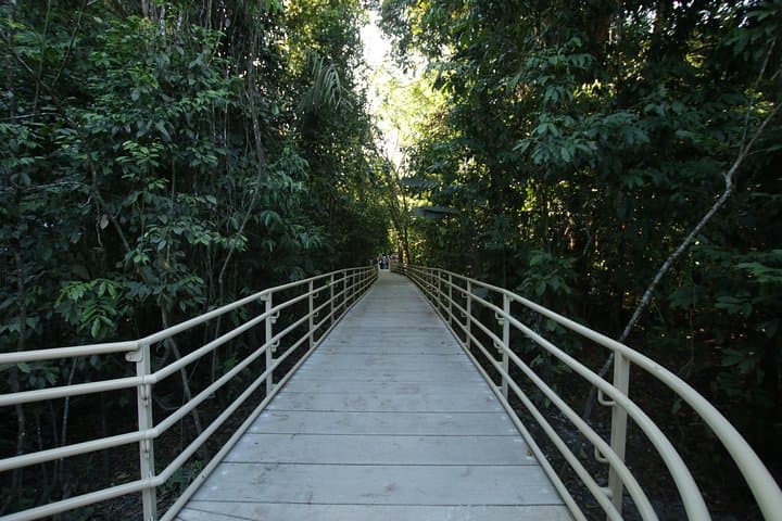 Manuel Antonio National Park Guided Wildlife and Beach Tour photo 5