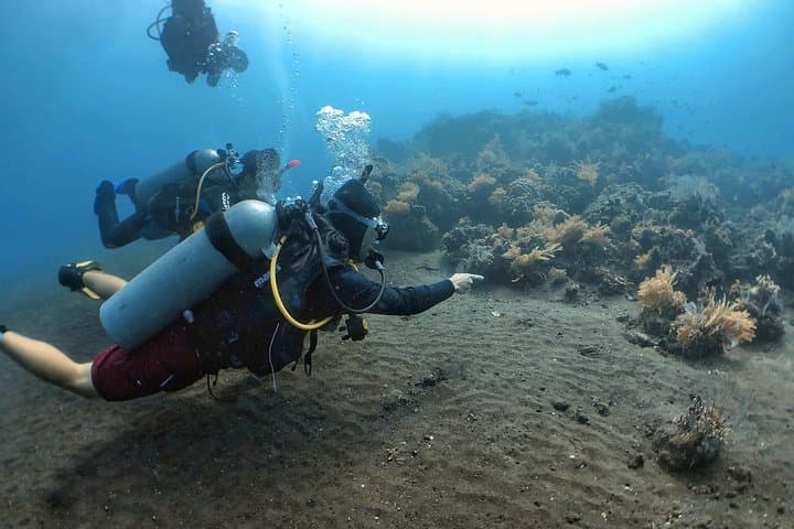 USAT Liberty Shipwreck: Tulamben Bali Scuba Dives for Certified Divers photo 4