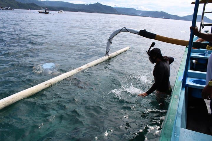 Blue Lagoon Snorkeling from Padangbai — Private Half-Day with Hotel Transfer photo 3