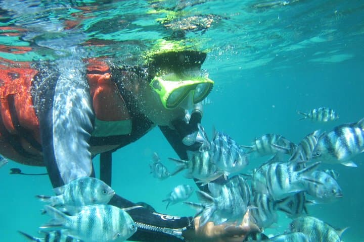Blue Lagoon Snorkeling from Padangbai — Private Half-Day with Hotel Transfer photo 5
