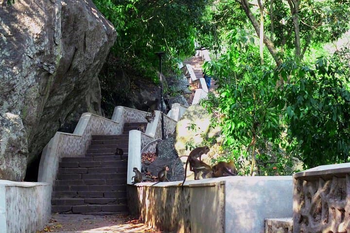 3-Day Sri Lanka Cultural Triangle: Sigiriya, Polonnaruwa, Dambulla, Minneriya & Kandy photo 4