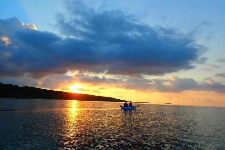 Iriomote Sunrise SUP & Canoe Tour — Paddle the Mangrove Rivers of Okinawa photo 5