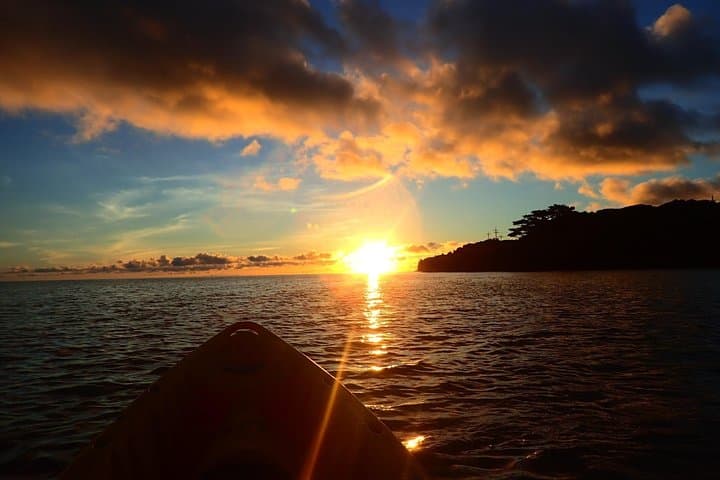 Iriomote Sunrise SUP & Canoe Tour — Paddle the Mangrove Rivers of Okinawa photo 6