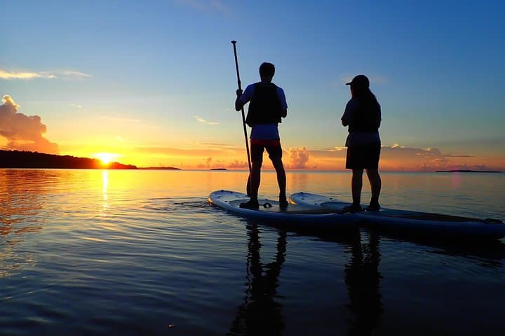 Iriomote Sunrise SUP & Canoe Tour — Paddle the Mangrove Rivers of Okinawa photo 4