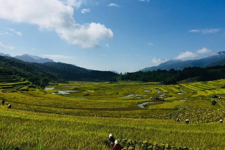 Pu Luong Offbeat 2-Day Trek from Hanoi: Rice Terraces, Bamboo Rafting & Village Life photo 3