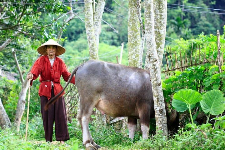 Pu Luong 2-Day Trek & Eco-Retreat from Hanoi — Rice Terraces, Villages & Caves photo 5