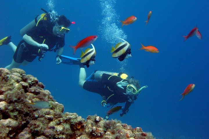 Red Sea Full-Day Scuba Diving Adventure from Hurghada — 2 Dive Sites & Lunch photo 2