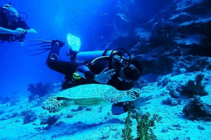 Red Sea Full-Day Scuba Diving Adventure from Hurghada — 2 Dive Sites & Lunch photo 5