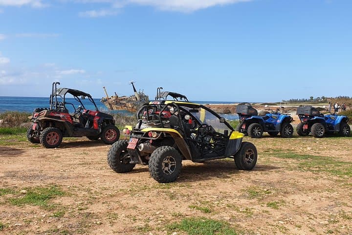 Akamas Half-Day Buggy Safari & Lara Bay Turtle Beach from Paphos photo 4
