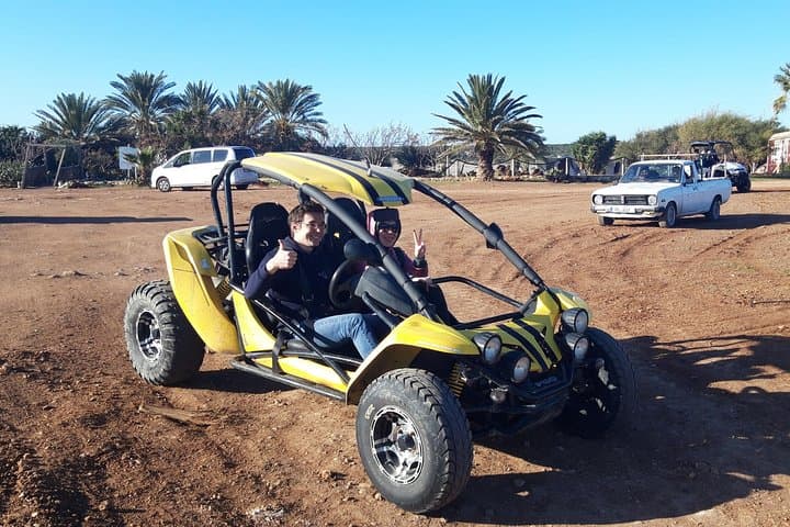 Akamas Half-Day Buggy Safari & Lara Bay Turtle Beach from Paphos