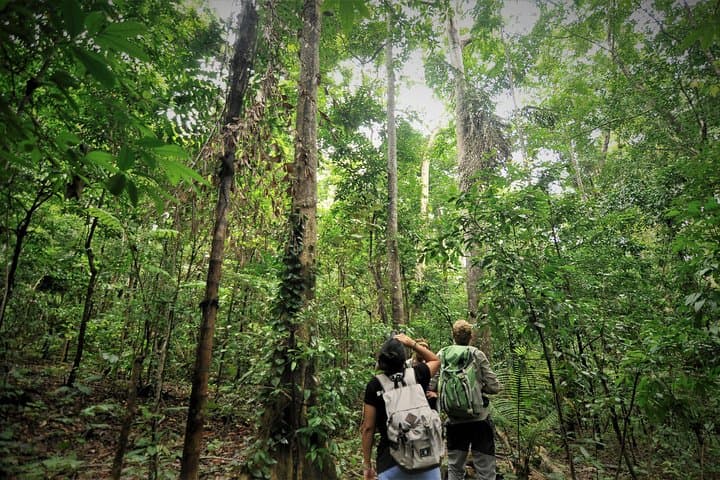 Tangkoko Day Trip: Black Macaque Encounters and Coastal Rainforest Walks