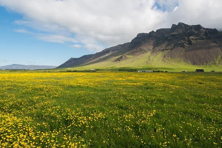 Reykjanes Peninsula Day Tour: Blue Lagoon, Gunnuhver & Bridge Between Continents photo 3