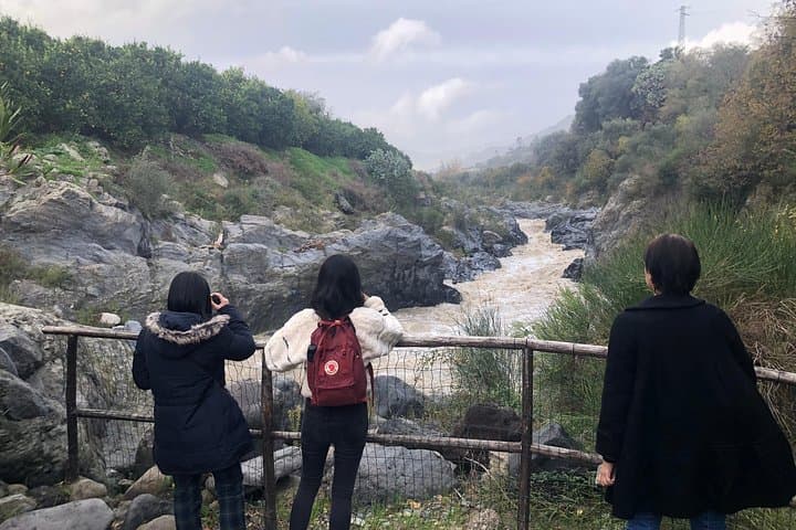 Etna & Alcantara Gorges: Full-Day Volcano, Lava Caves and River Walk photo 5